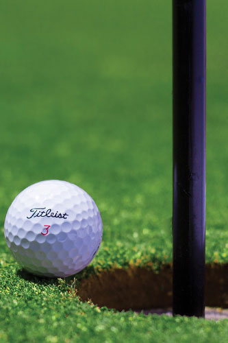 Golf Ball Next to Golf Hole| Golf Concepts Inc.